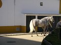 Spanje 2010 300
